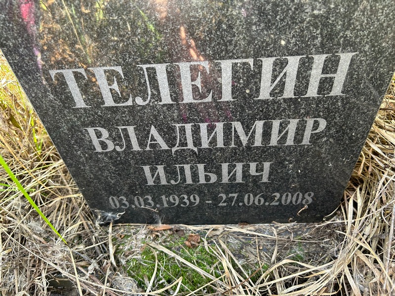 Телегин