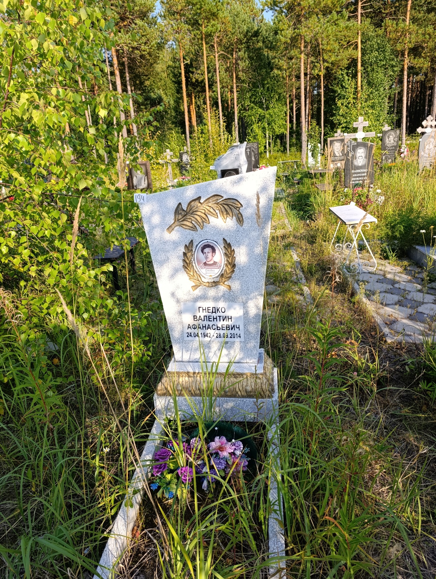 Гнедко Валентин Афанасьевич