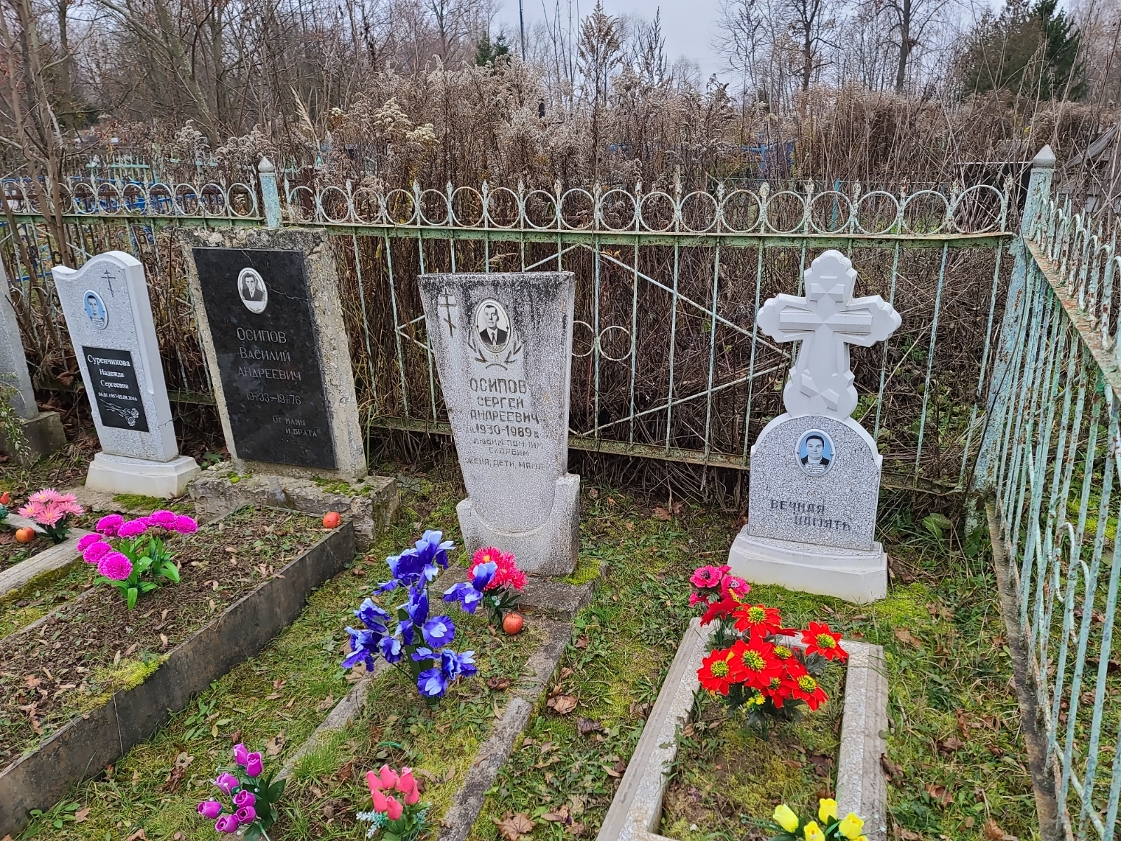 Сурченкова Надежда Сергеевна