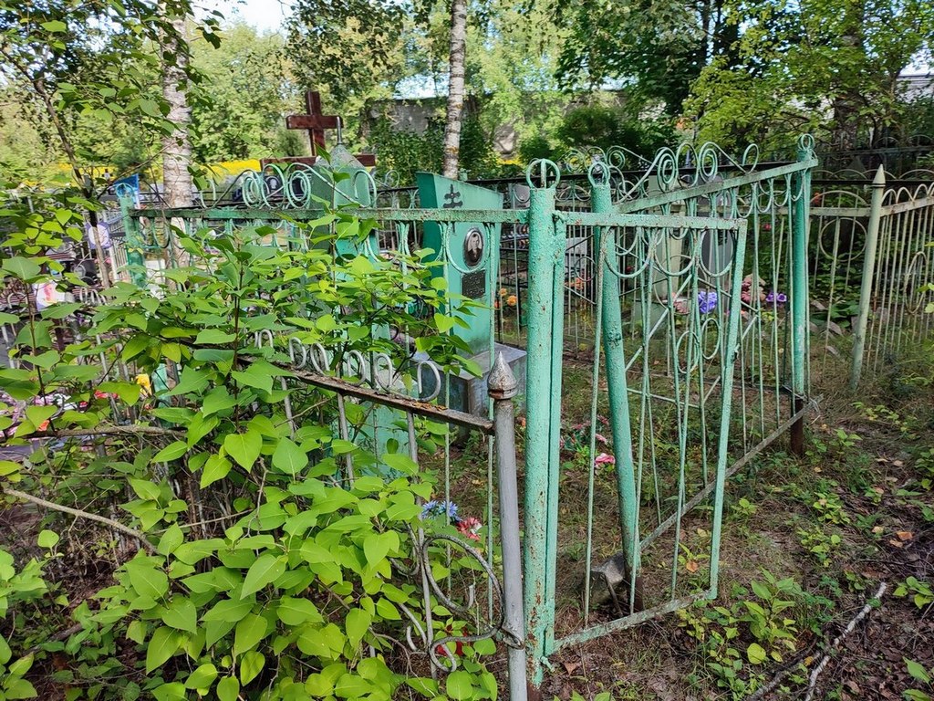 Самсонов Александр Георгиевич