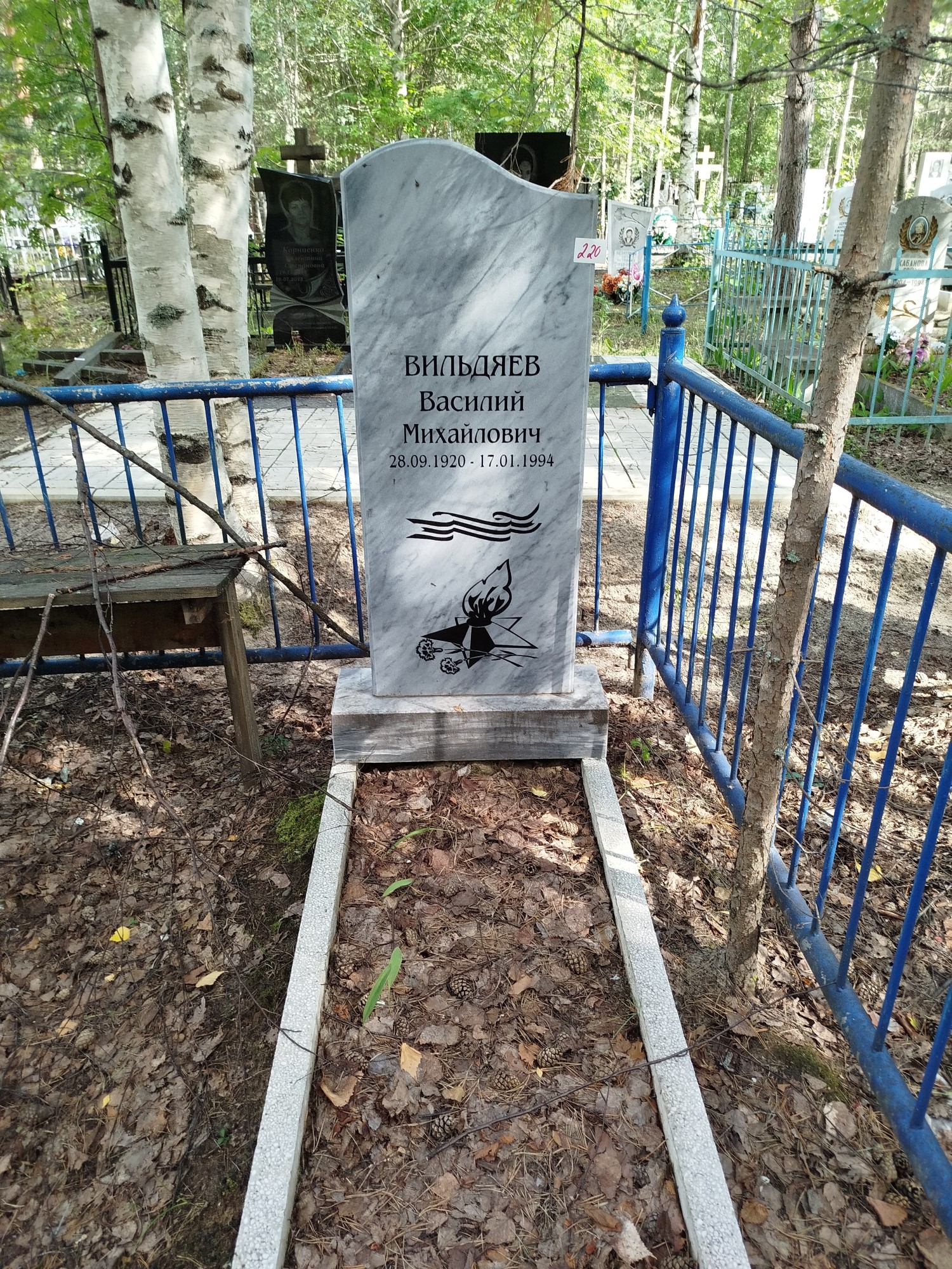 Вильдяев Василий Михайлович