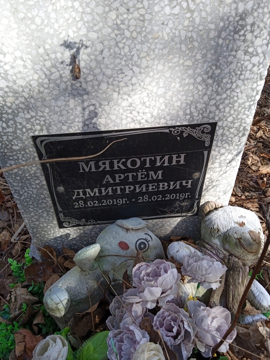 Мякотин Артём Дмитриевич
