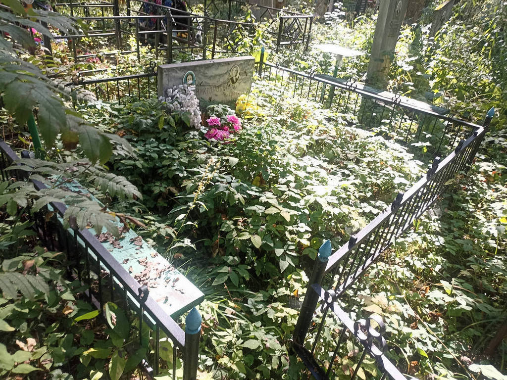 Викторова Елизавета Петровна