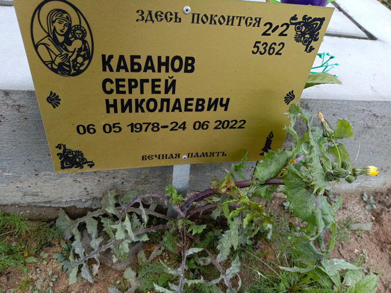 Кабанов