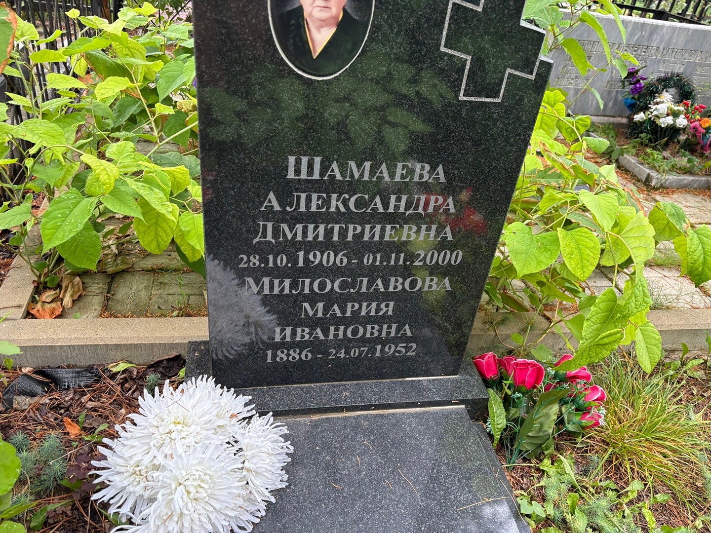 Шамаева Александра Дмитриевна