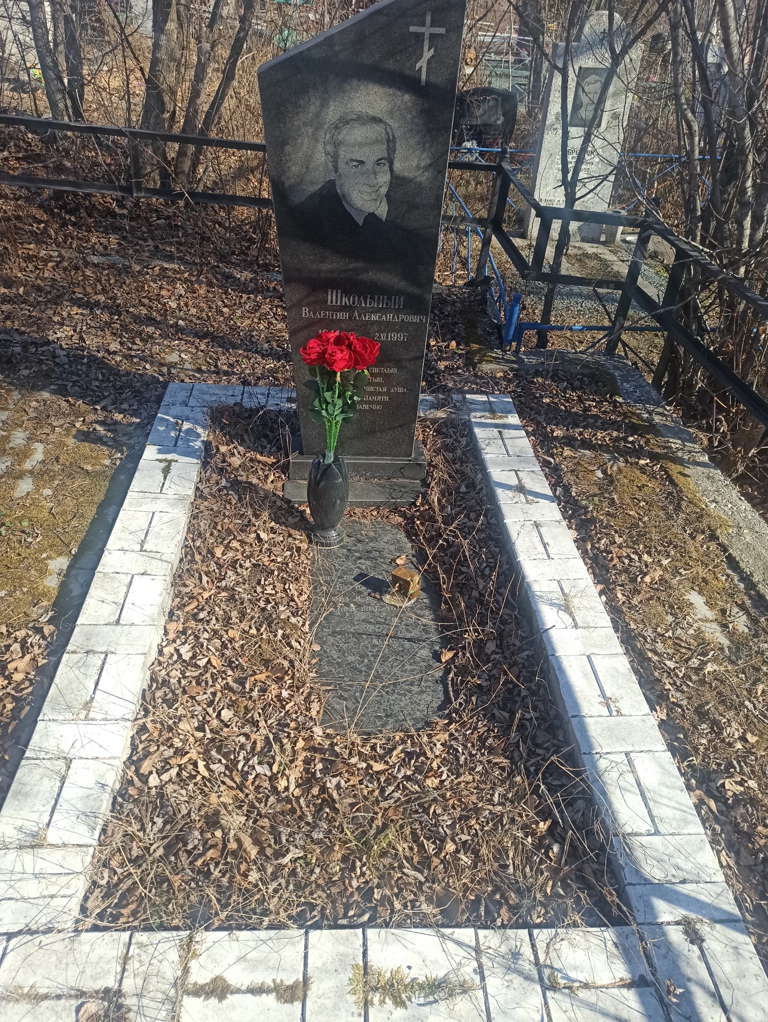 Школьный Валентин Александрович