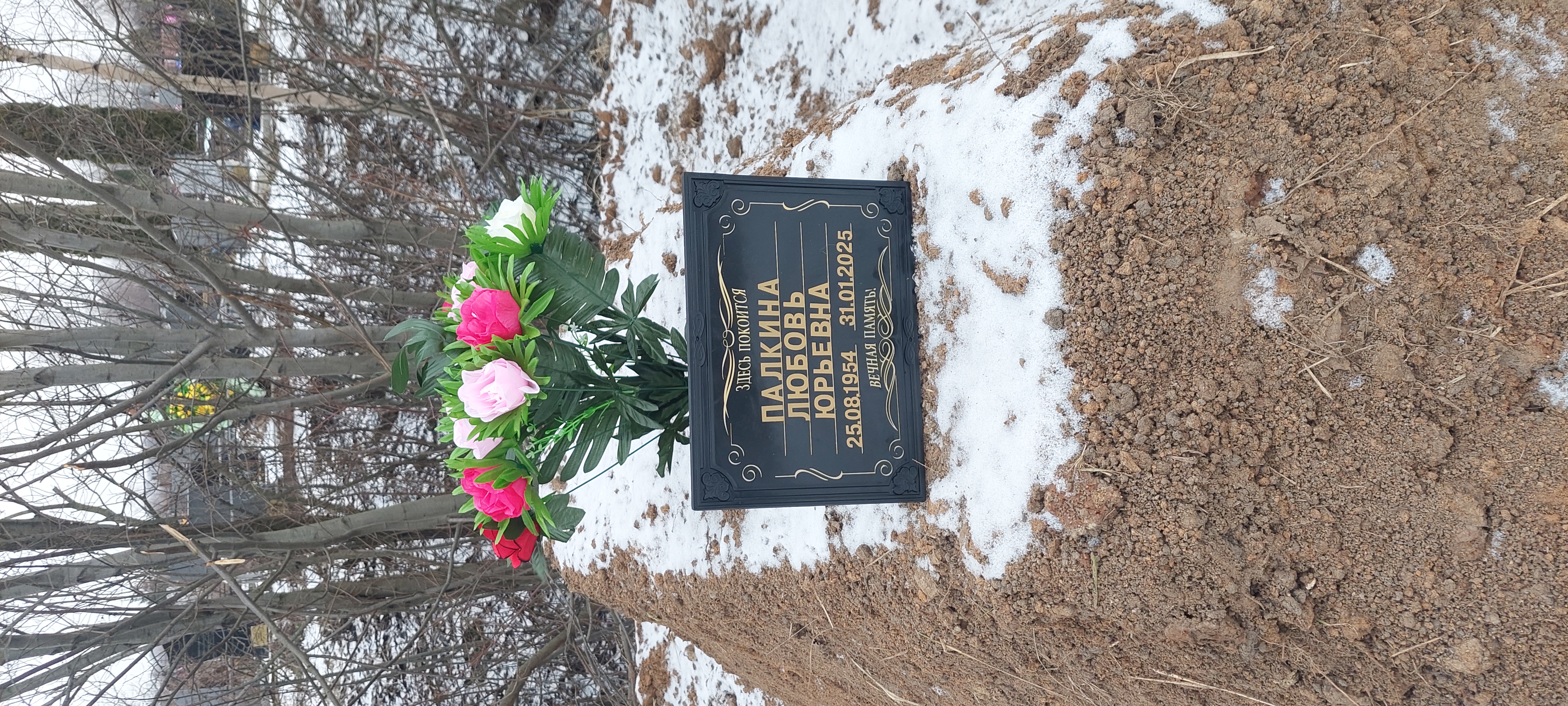 Палкина