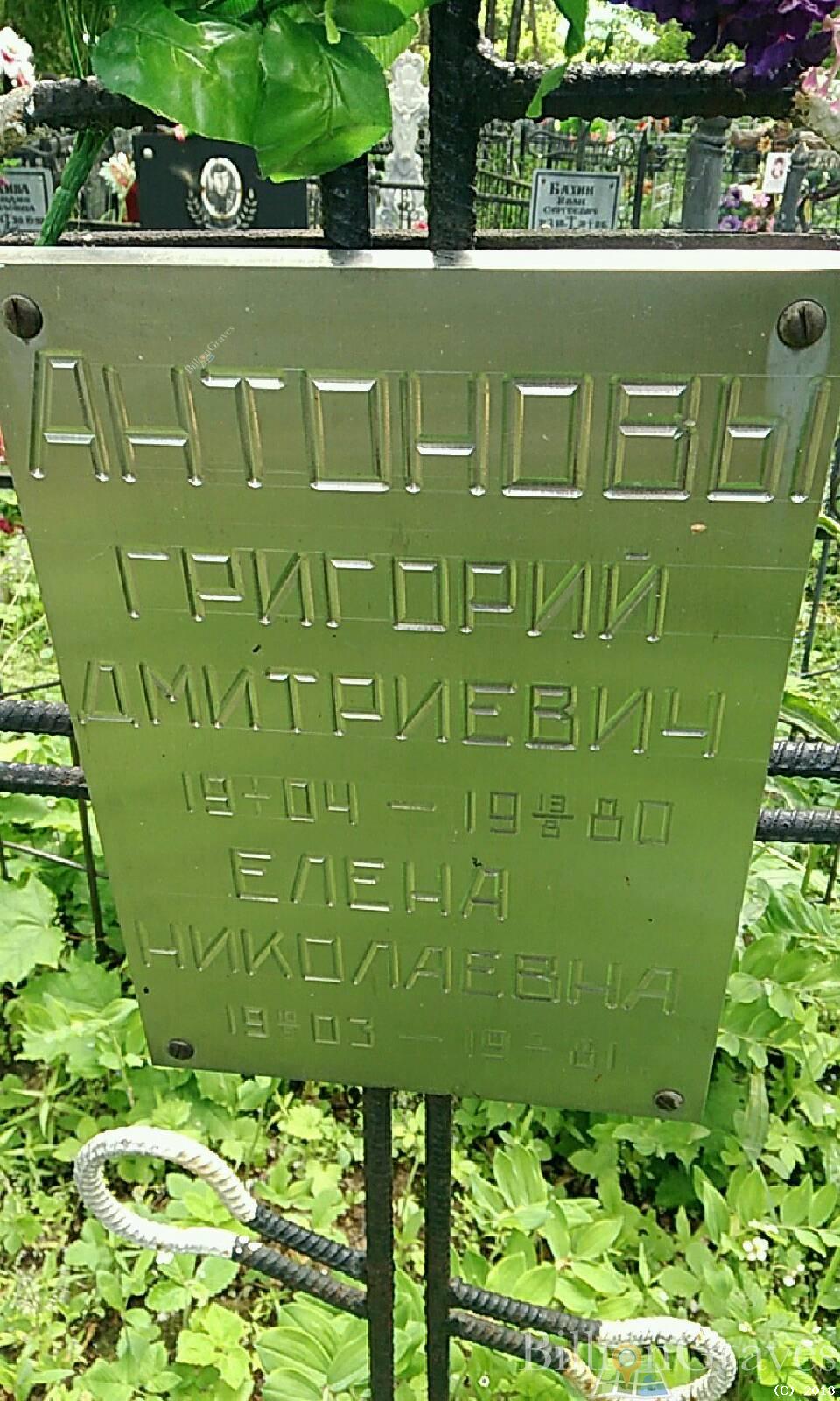 Антонова Елена Николаевна