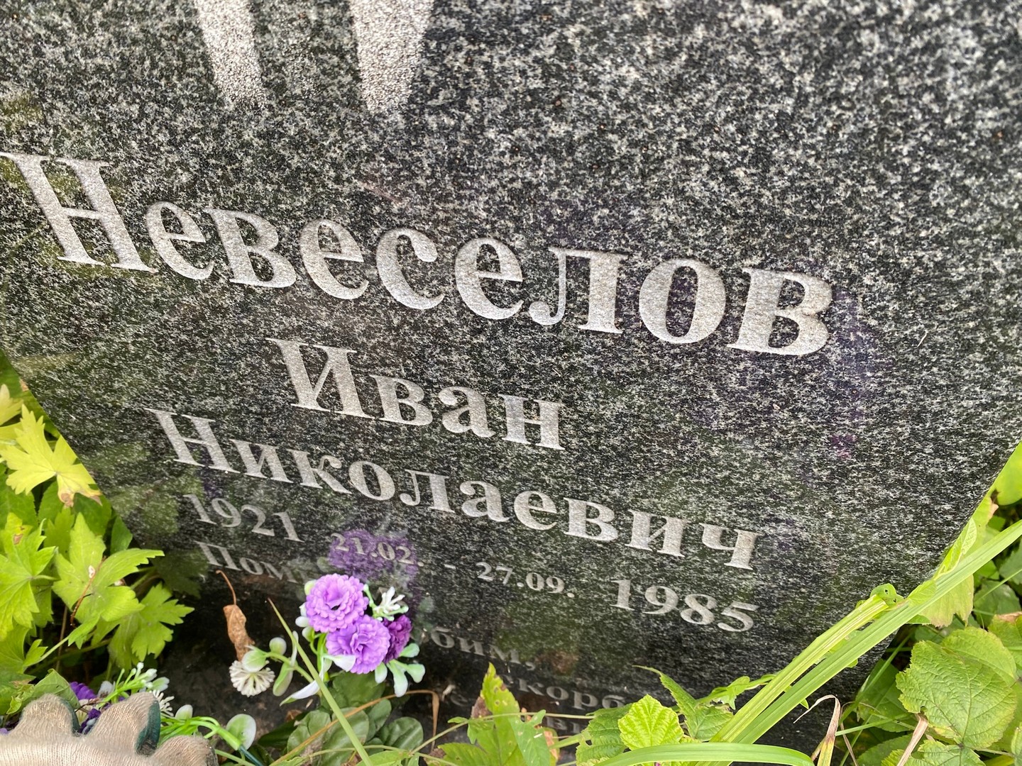 Невеселов