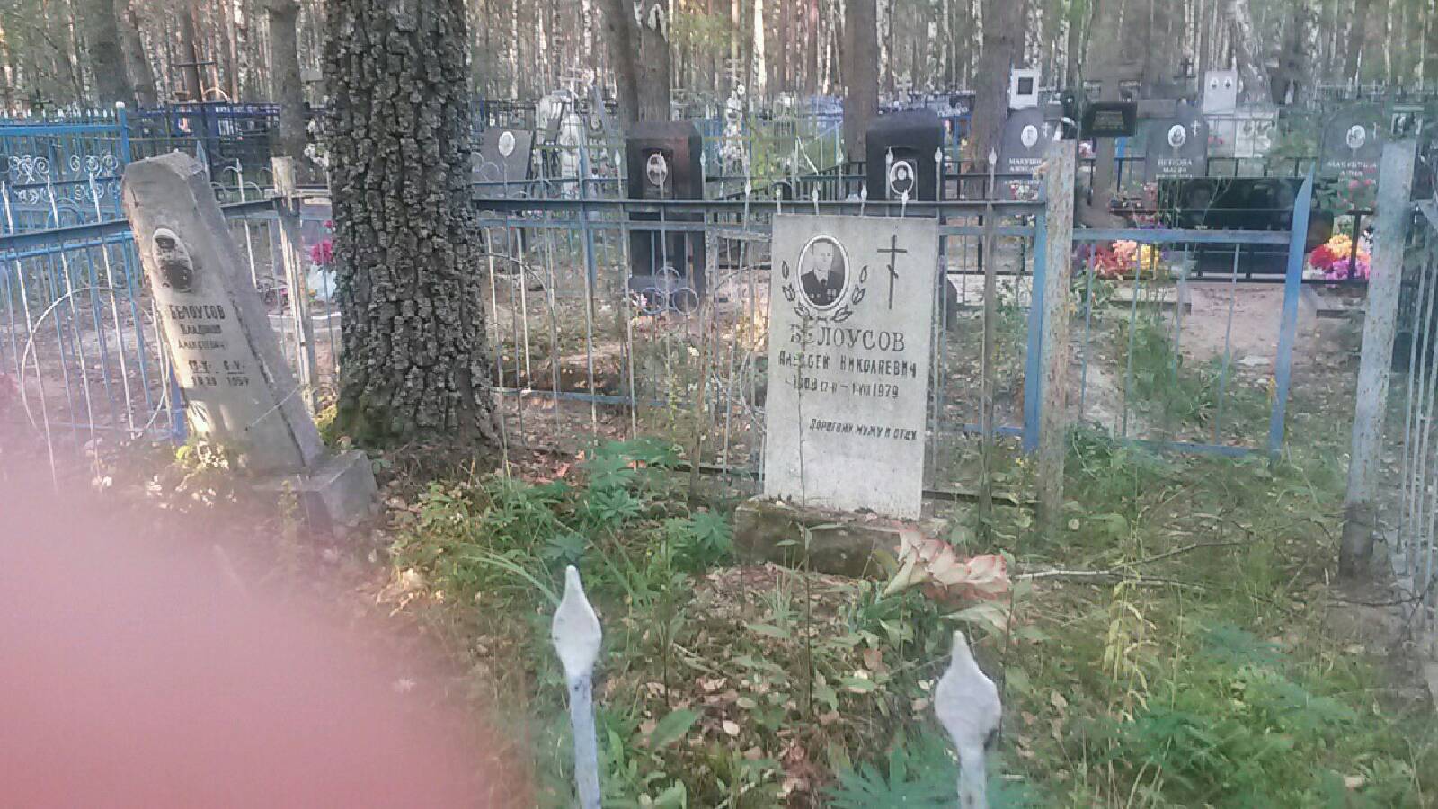Белоусов Алексей Николаевич