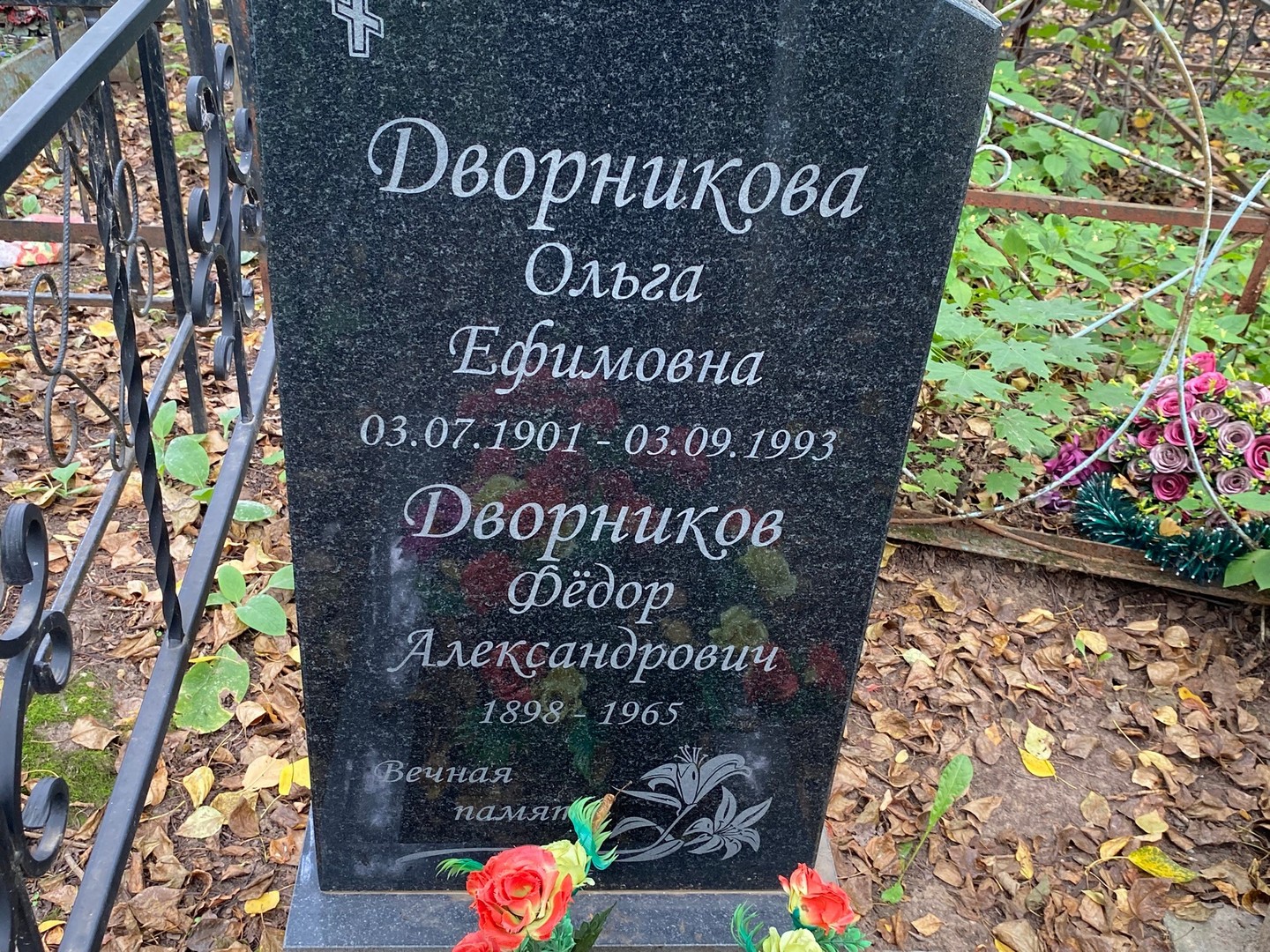 Дворникова