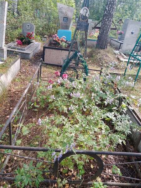 Панов Степан Парфиоьевич