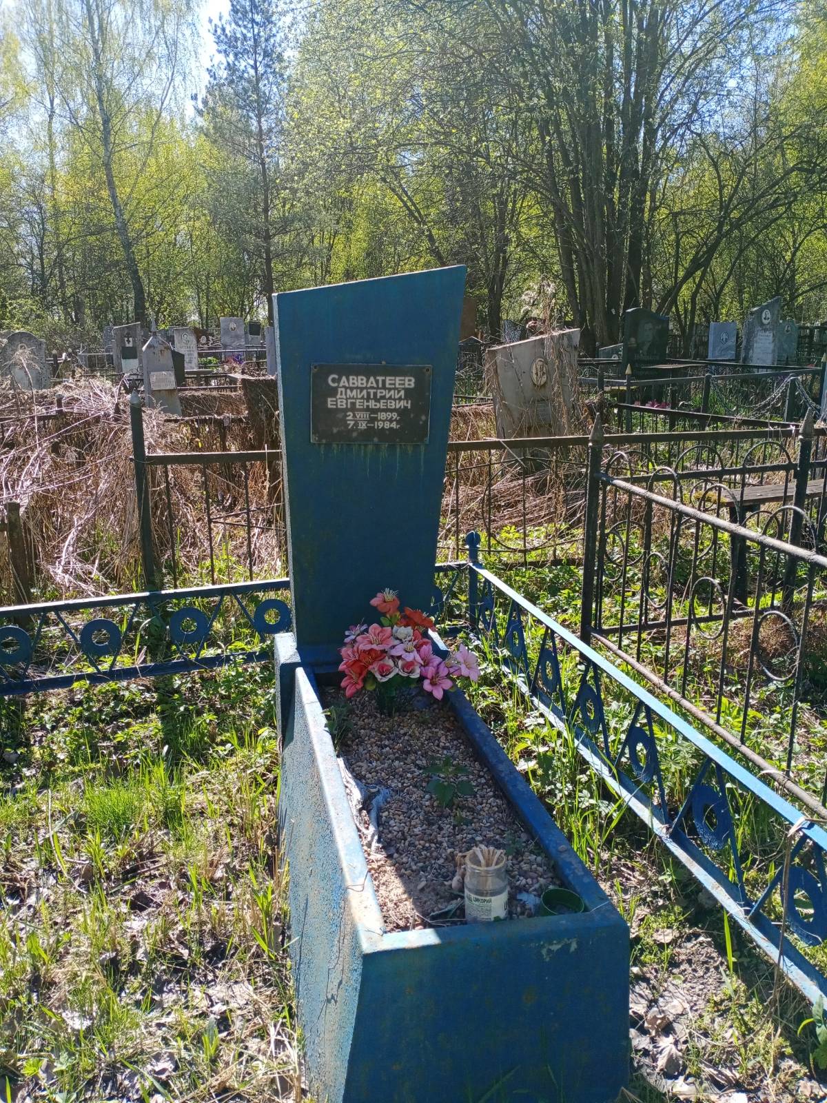 Савватеев Дмитрий Евгеньевич