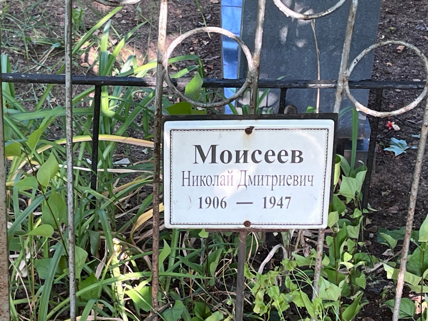 Моисеев