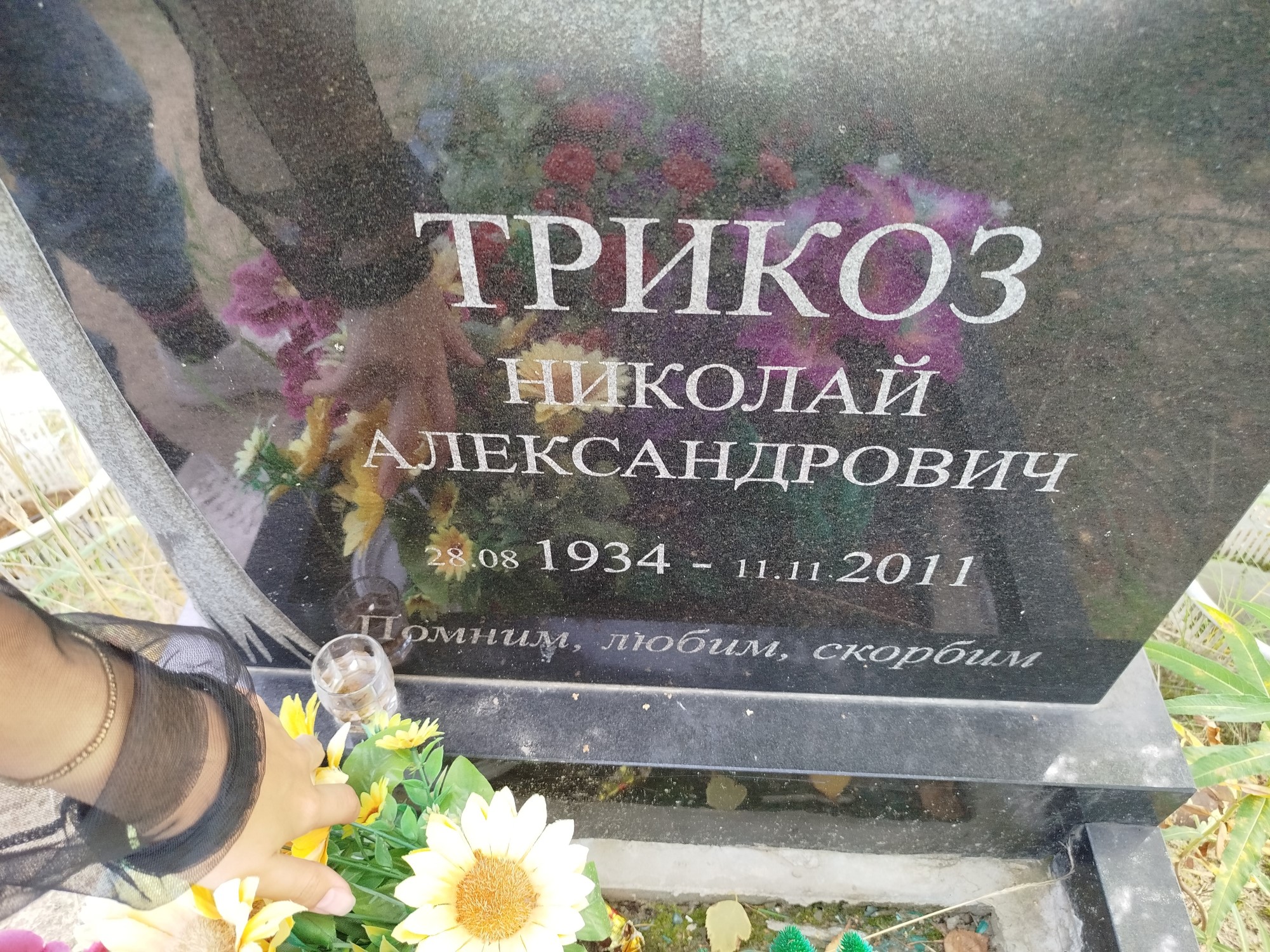 Трикоз Николай Александрович