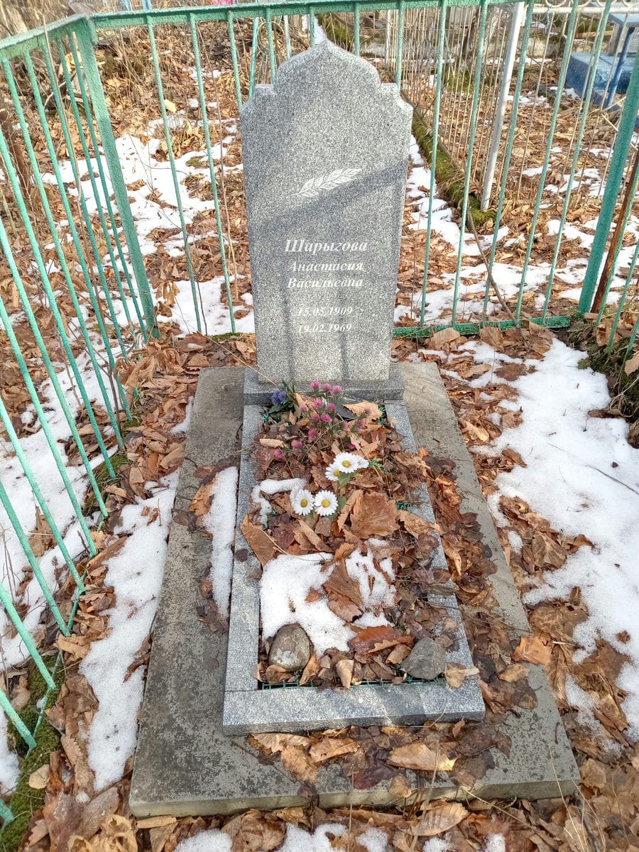 Шарыгова Анастасия Васильевна