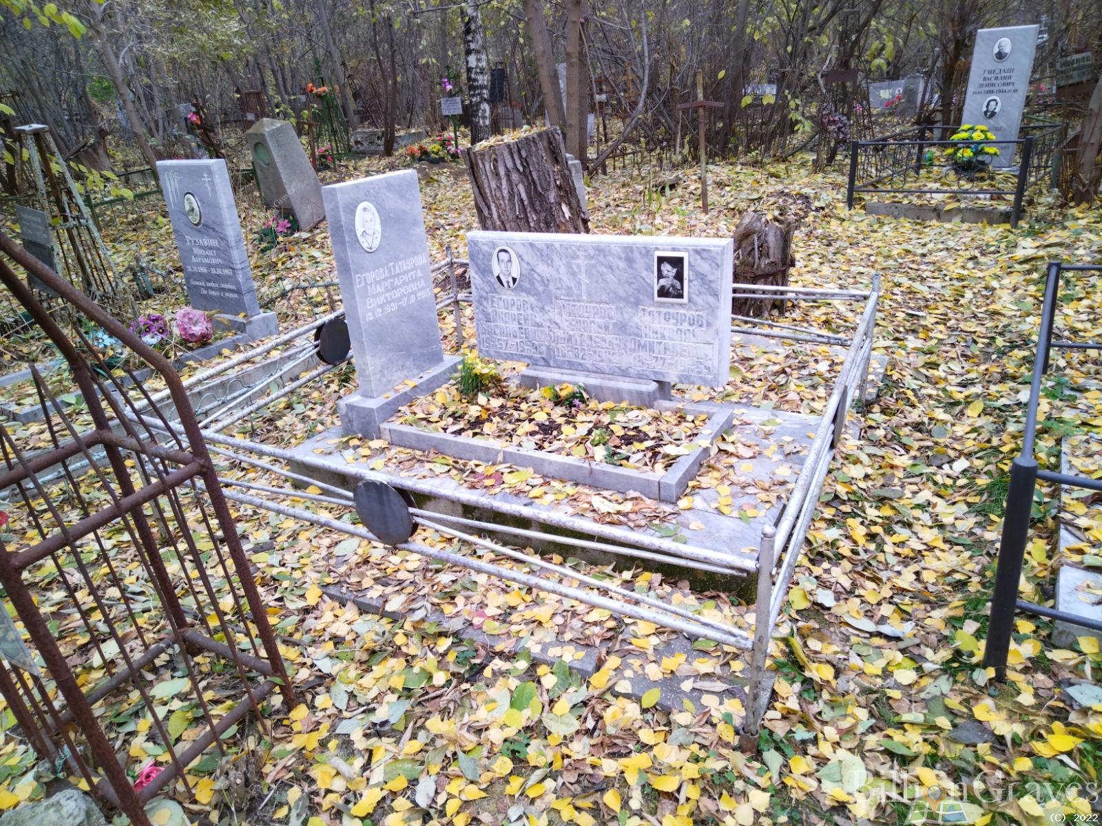 Егоров Андрей Васильевич