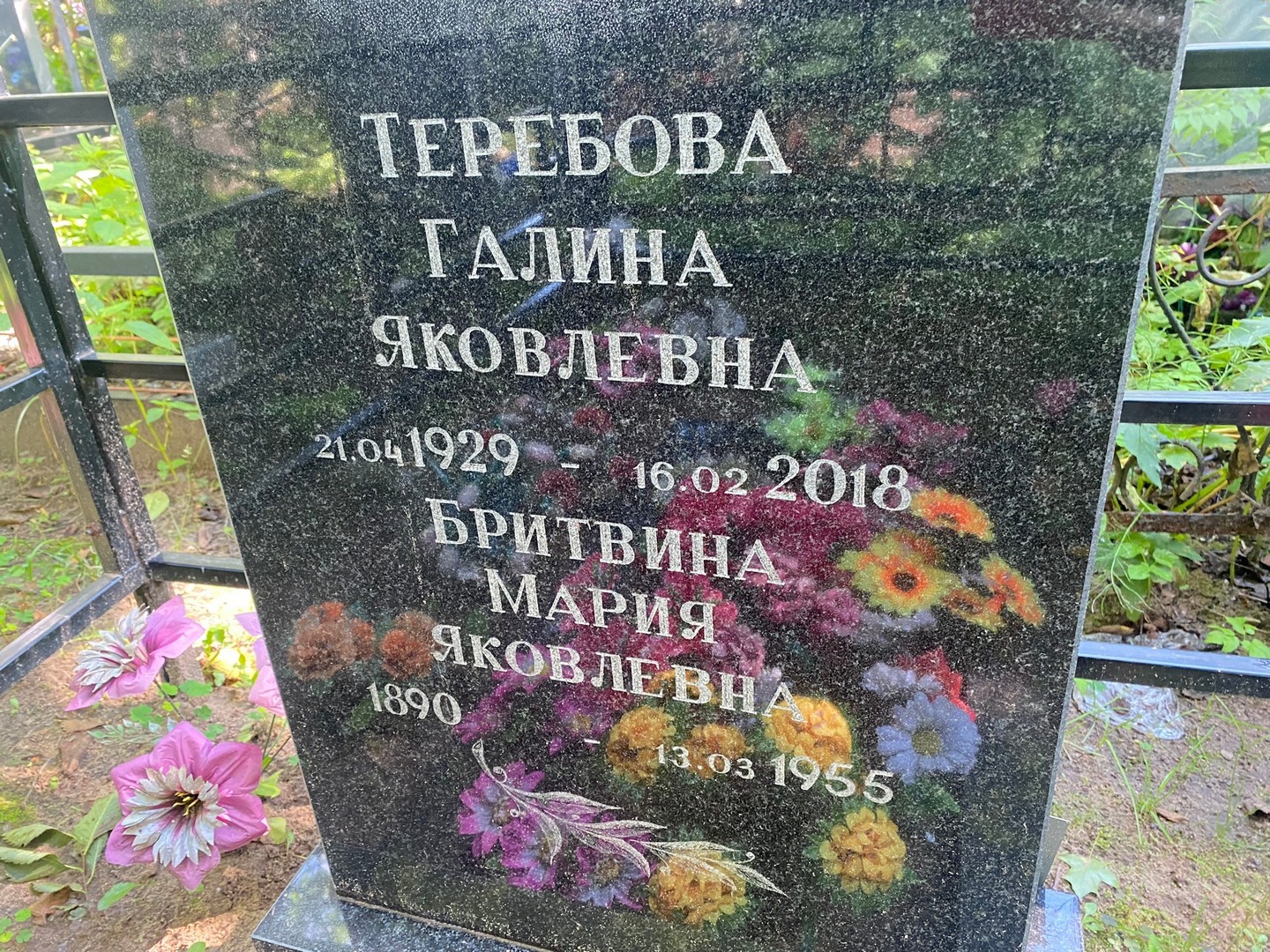 Теребова