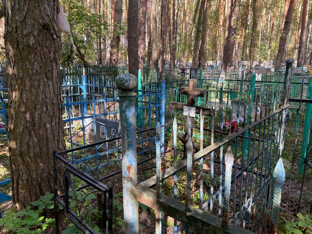 Кокорина С В
