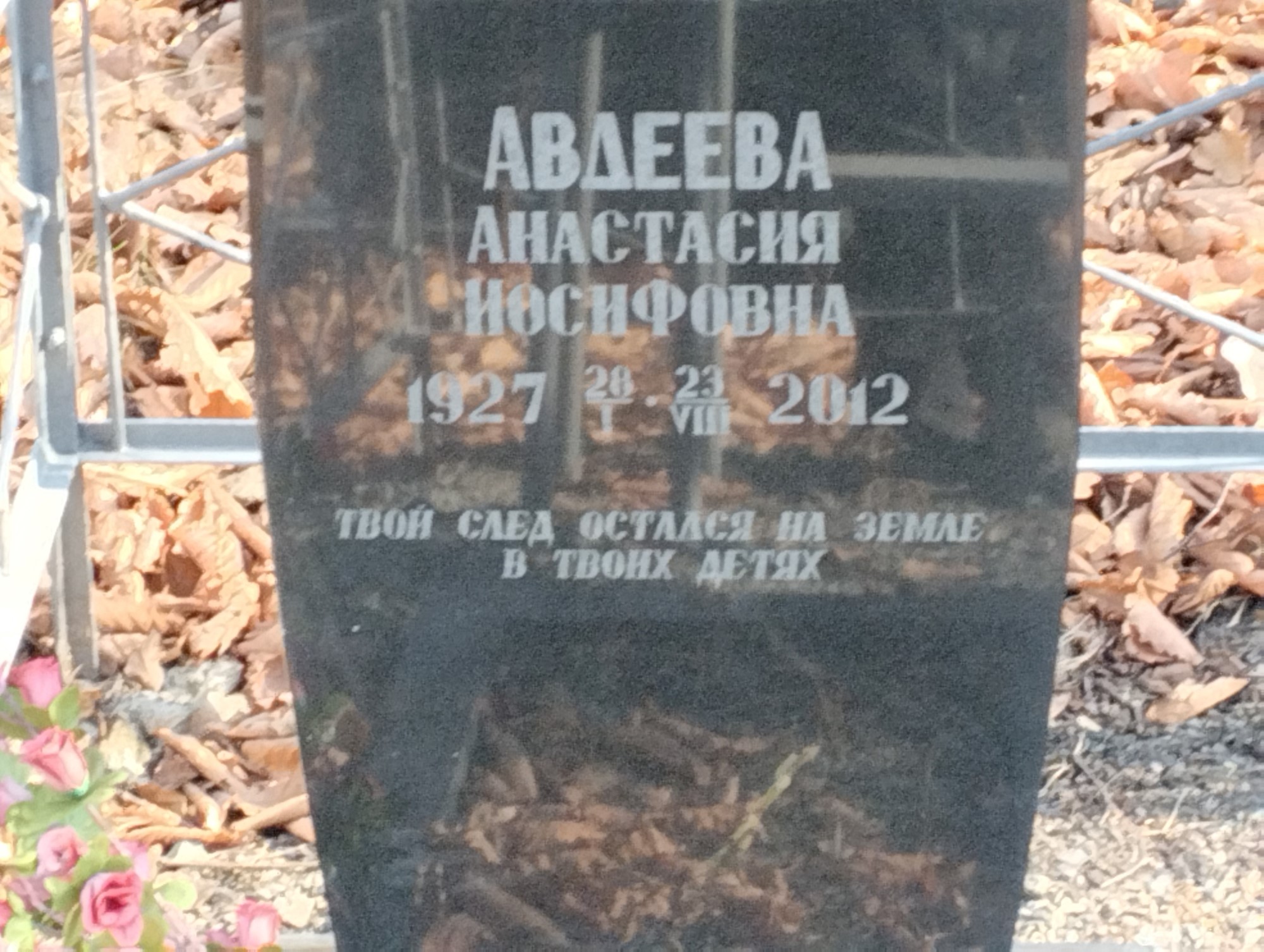 Авдеева Анастасия Иосифовна