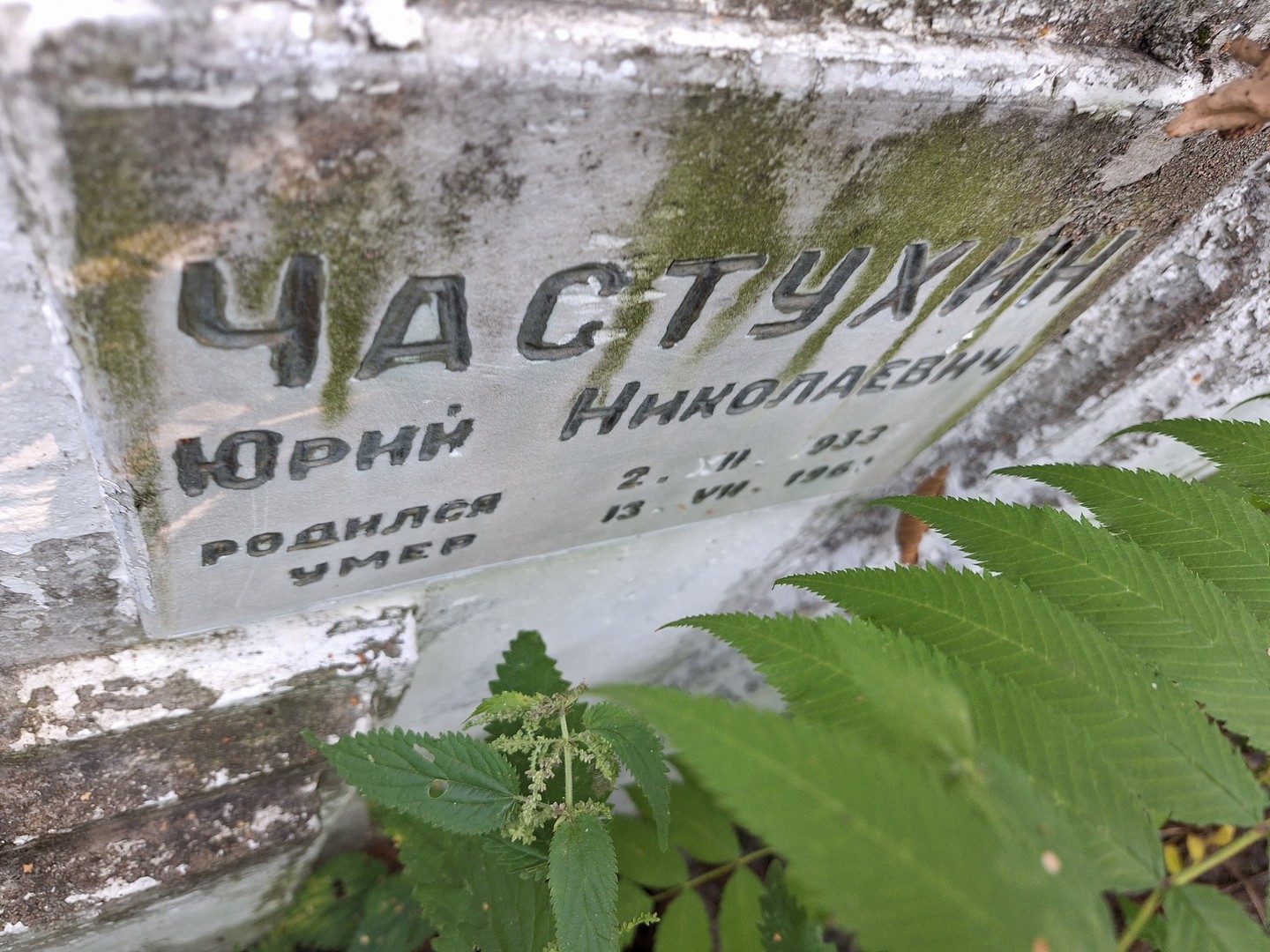Частухин
