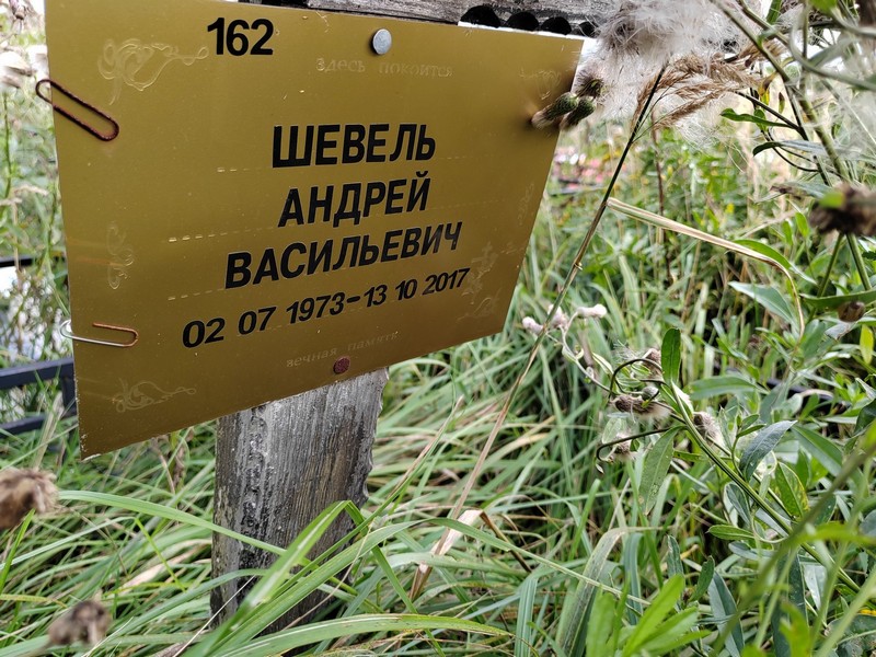 Шевель