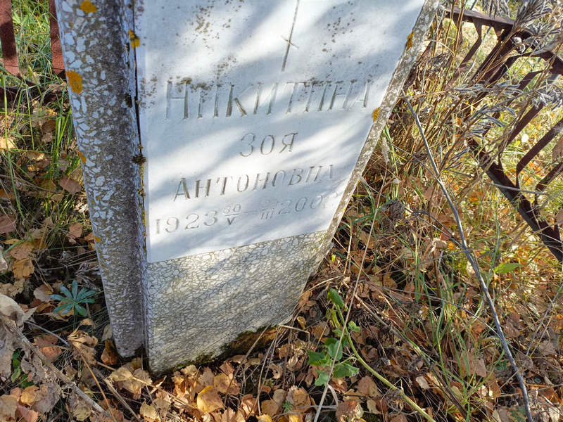 Никитина
