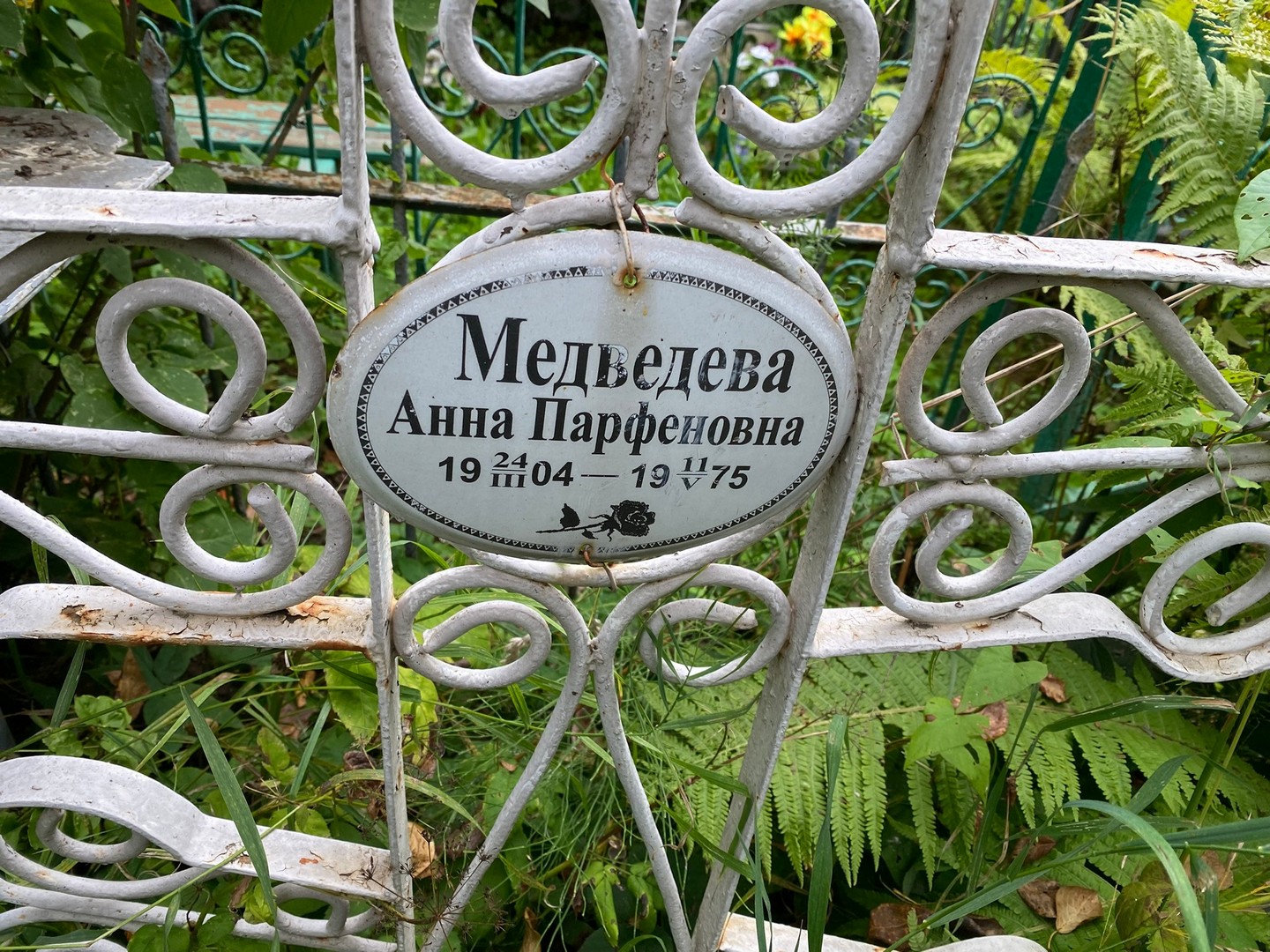 Медведева
