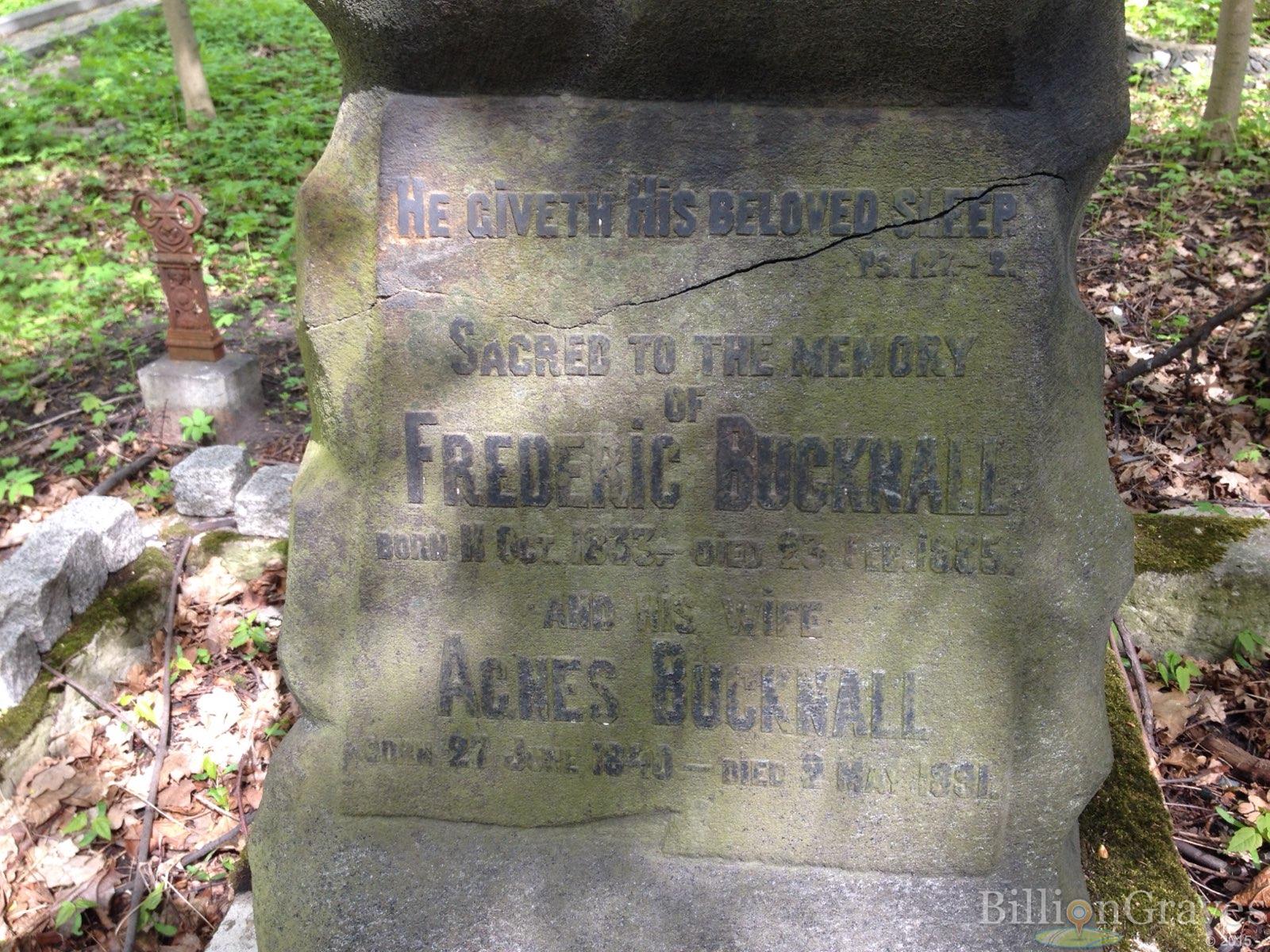Bucknall Friederic