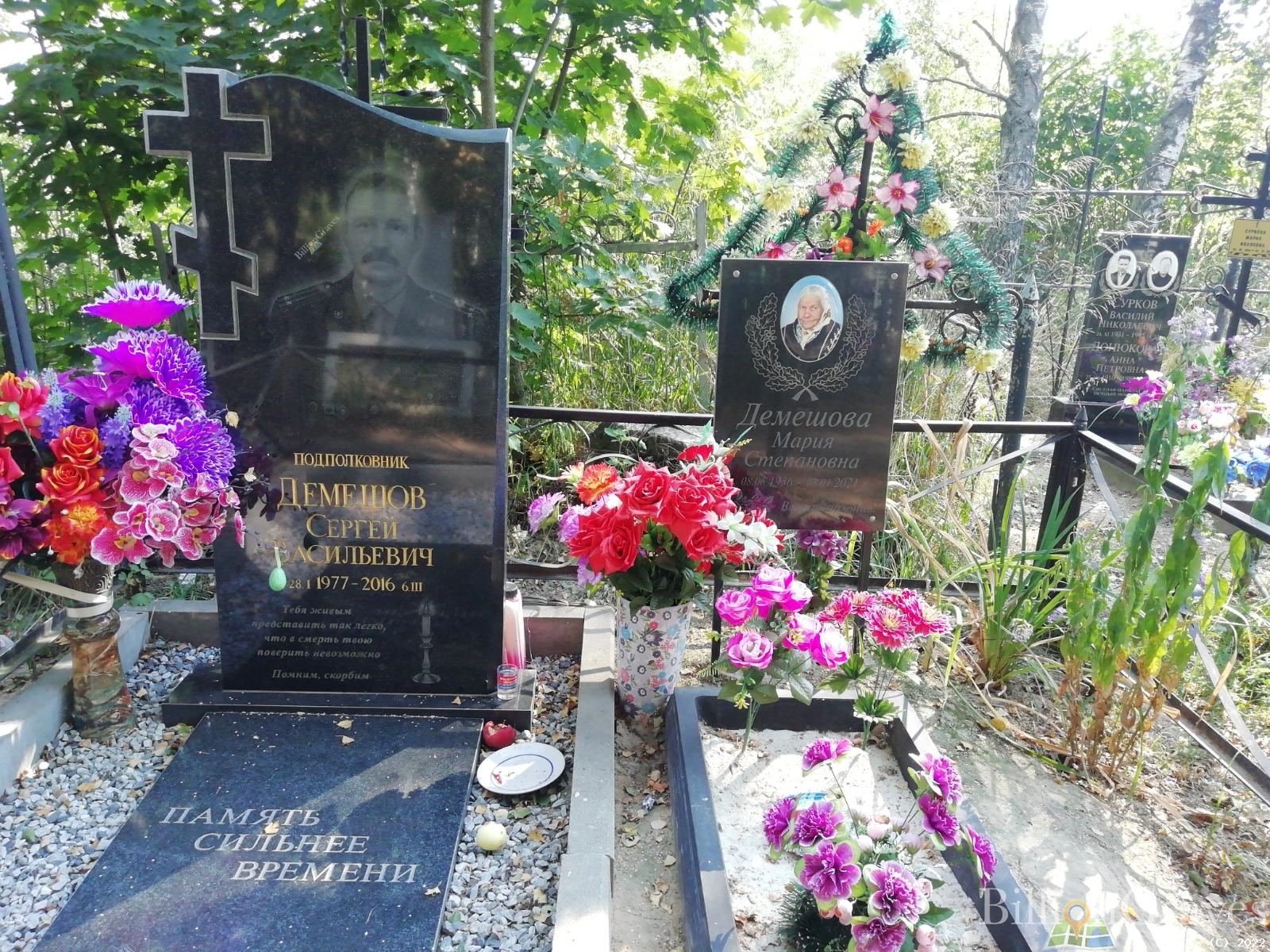 Демешов Сергей Васильевич