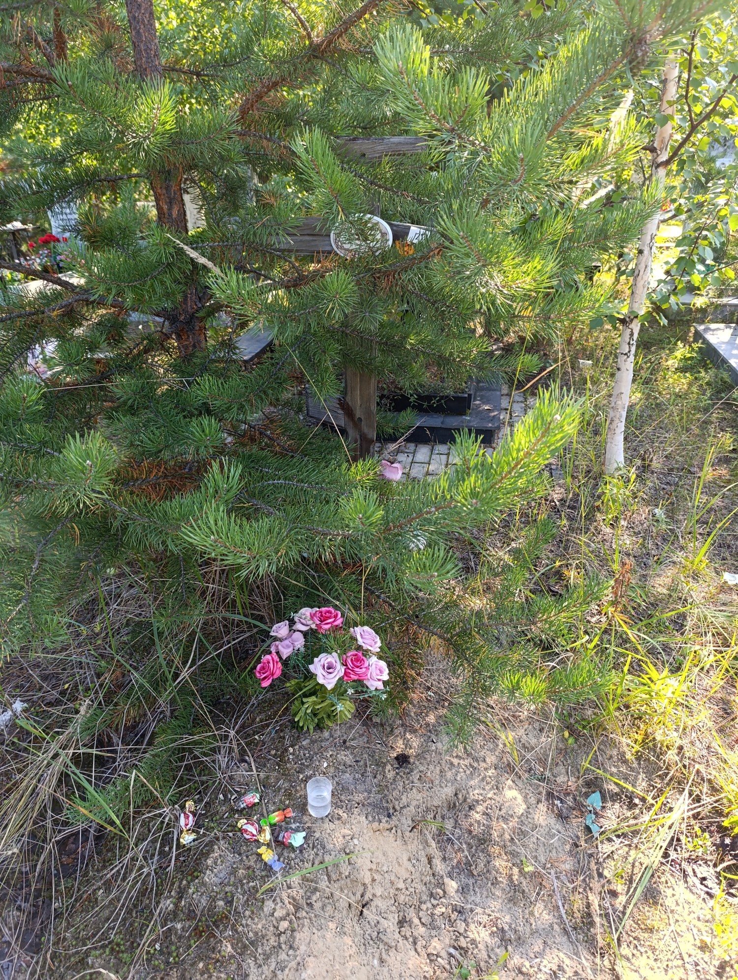 Дудакова Александра Владимировна