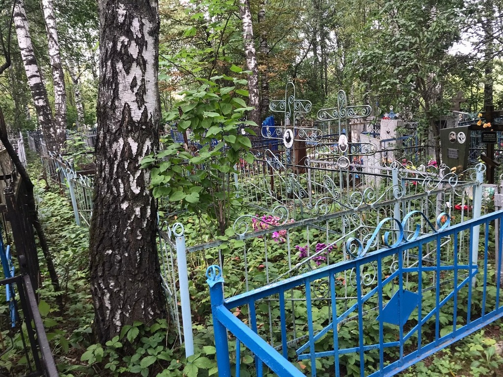 Печуркин Константин Николаевич