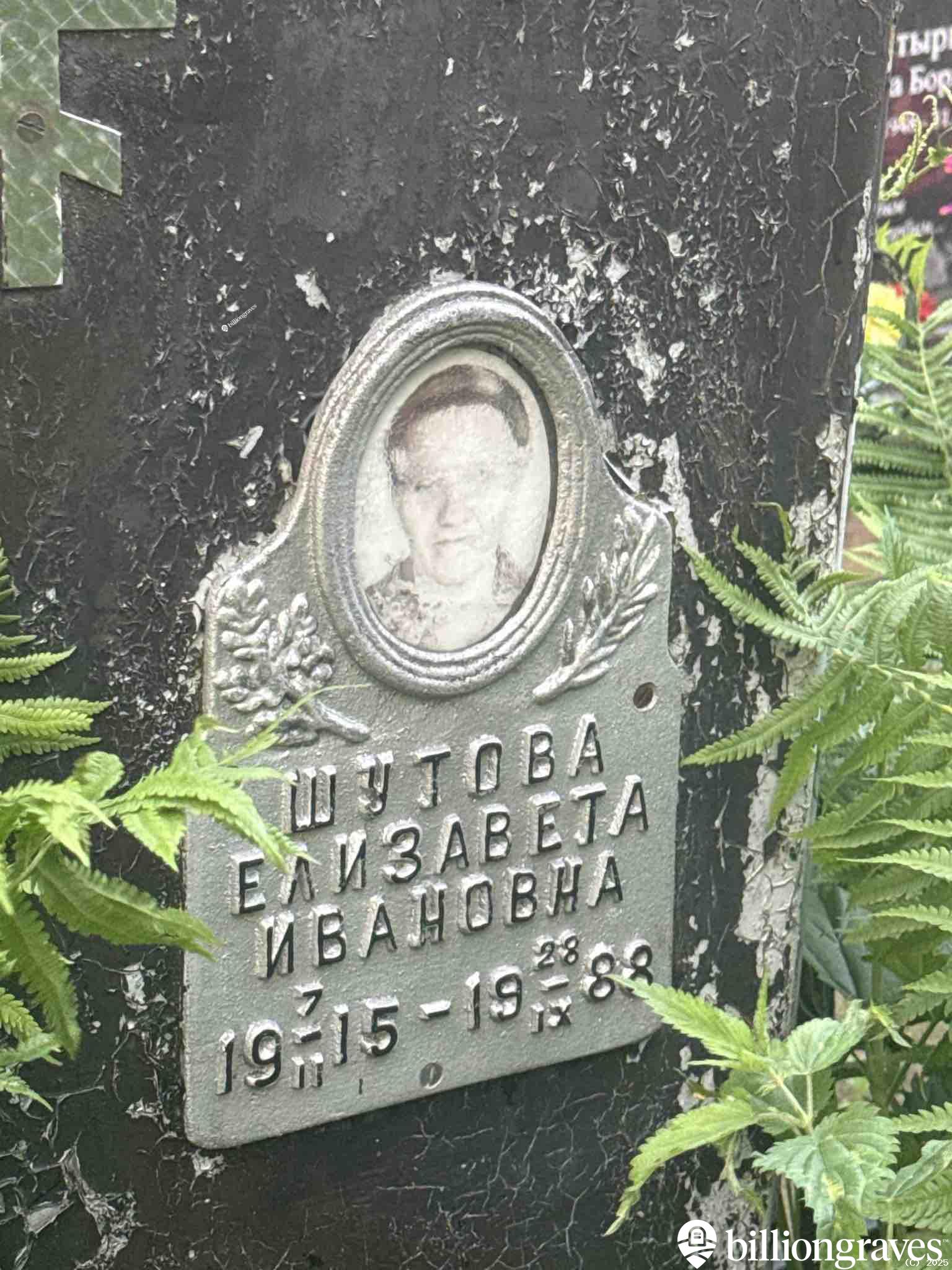 Шатова Елизавета Ивановна