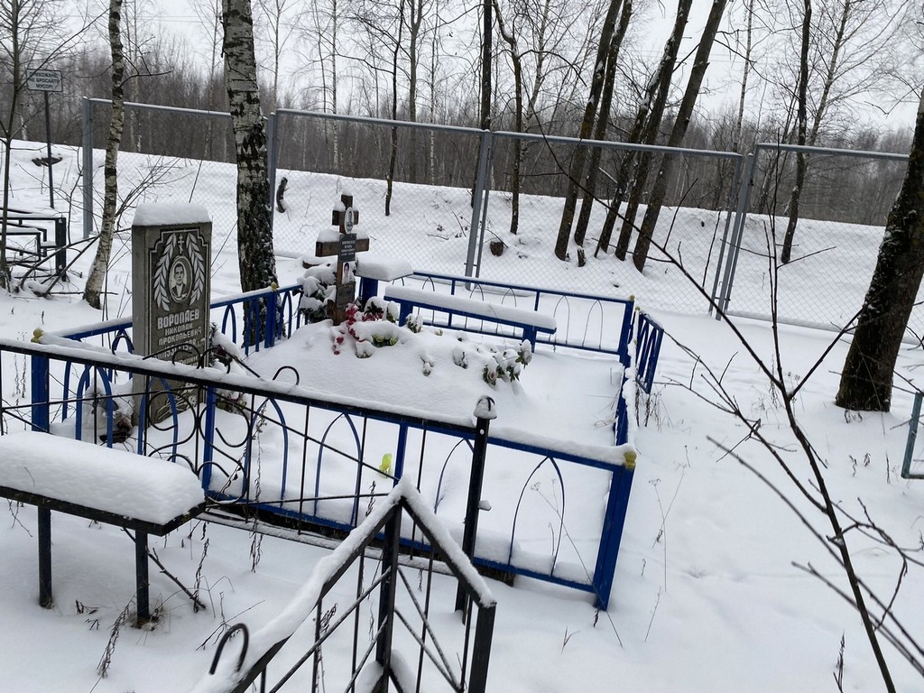 Воропаев Игорь Николаевич
