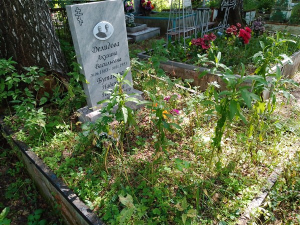 Делидова Акулина Васильевна