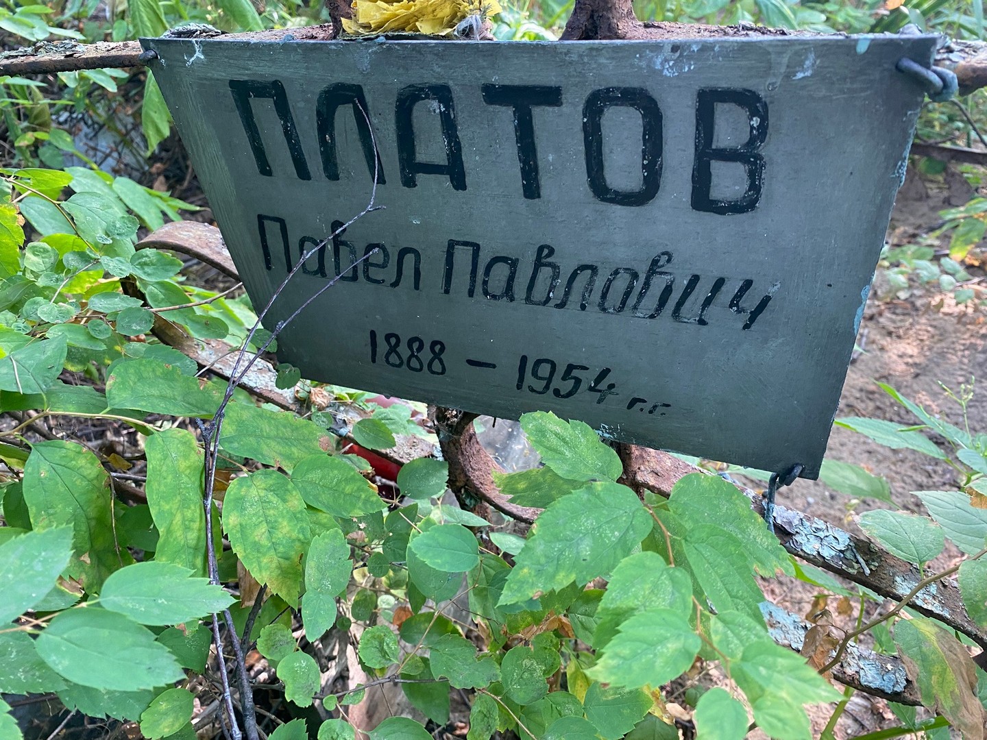 Платов