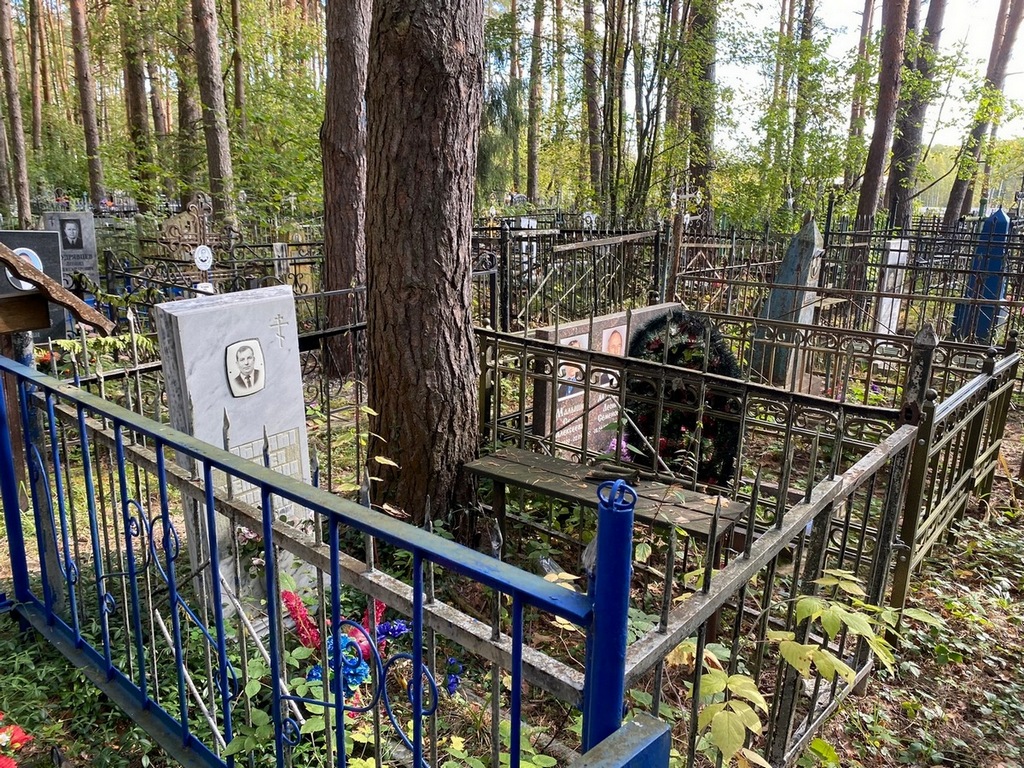Жабин Альберт Петрович
