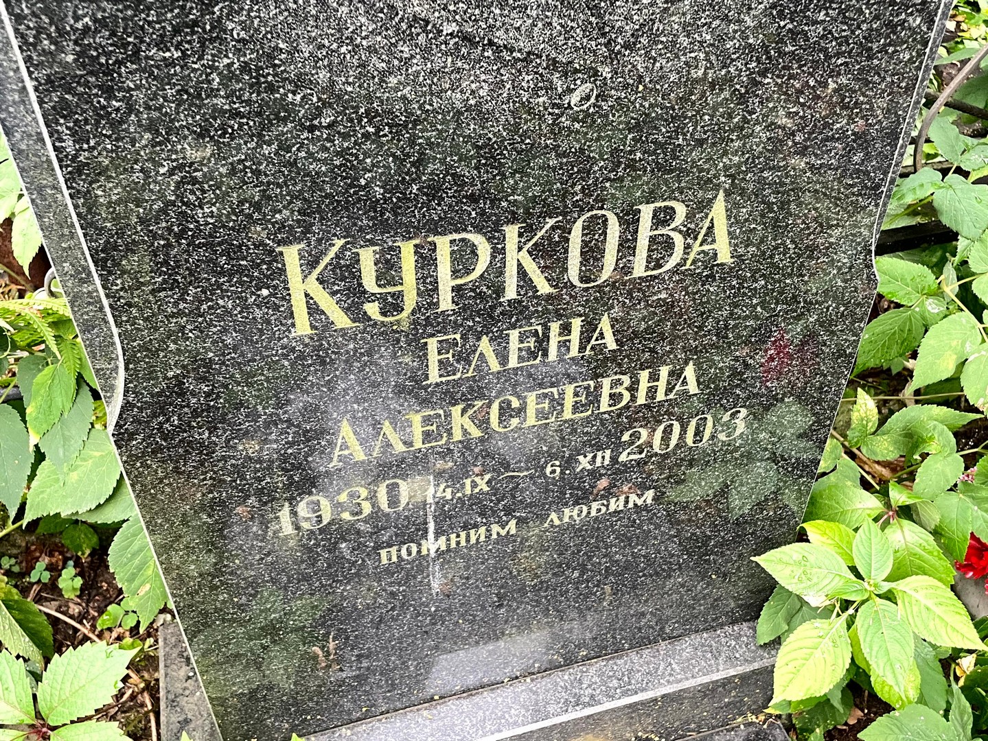 Куркова