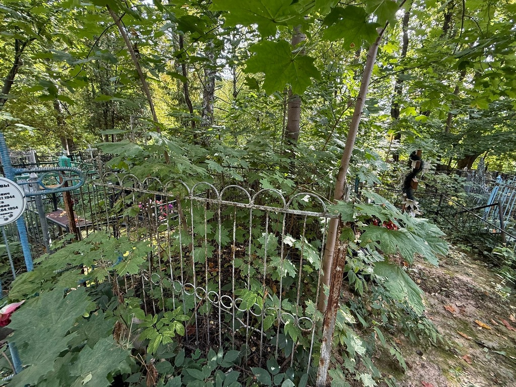 Курапаткина Анастасия Семеновна