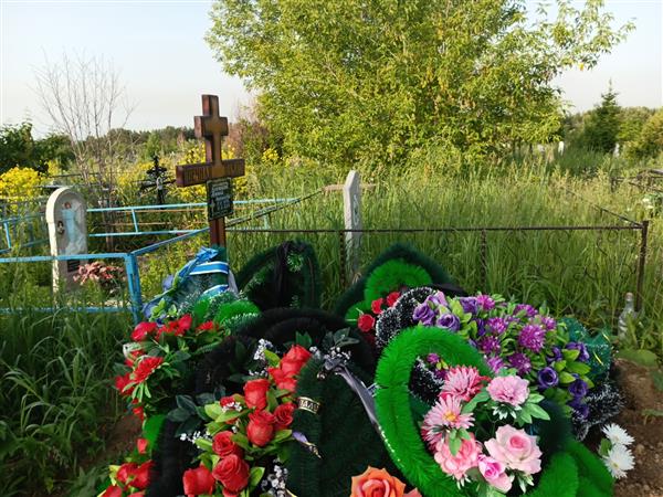 Ворошилов Михаил Николаевич