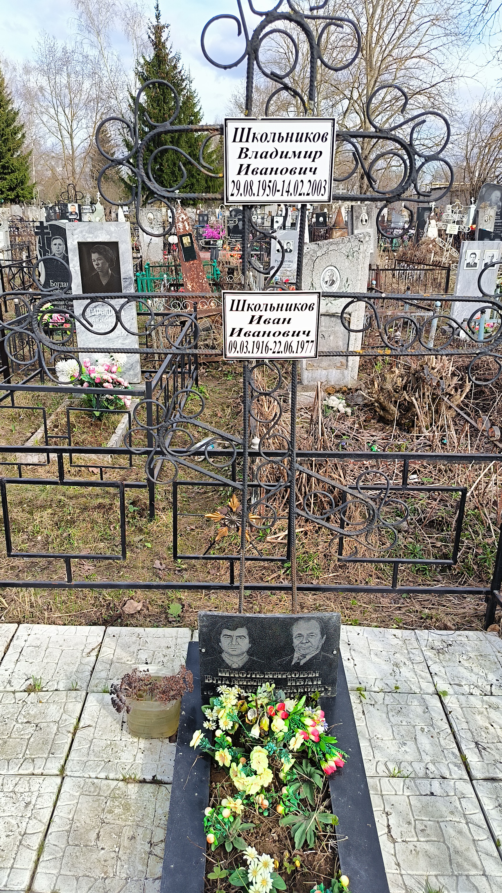 Школьников Владимир Иванович