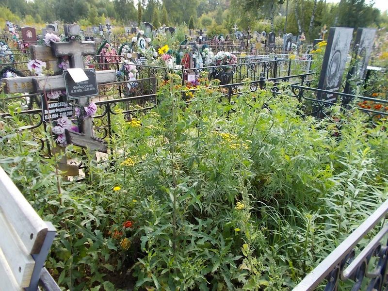Мороз Елена Федоровна