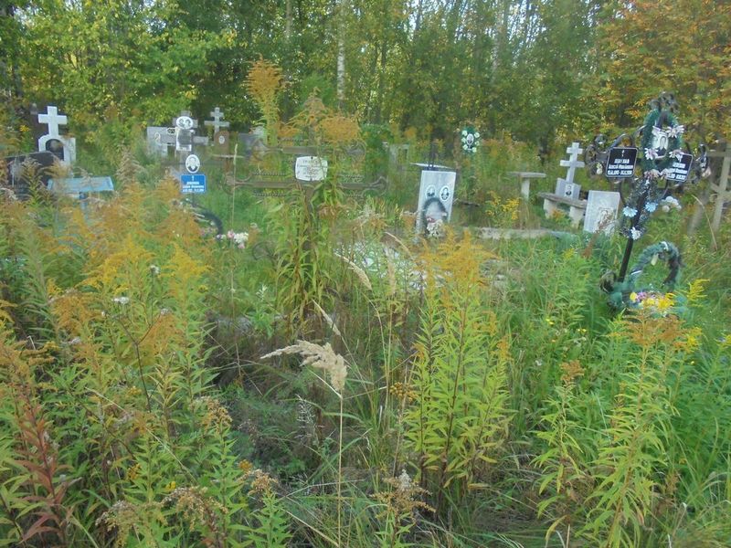 Грачева Елизавета Васильевна