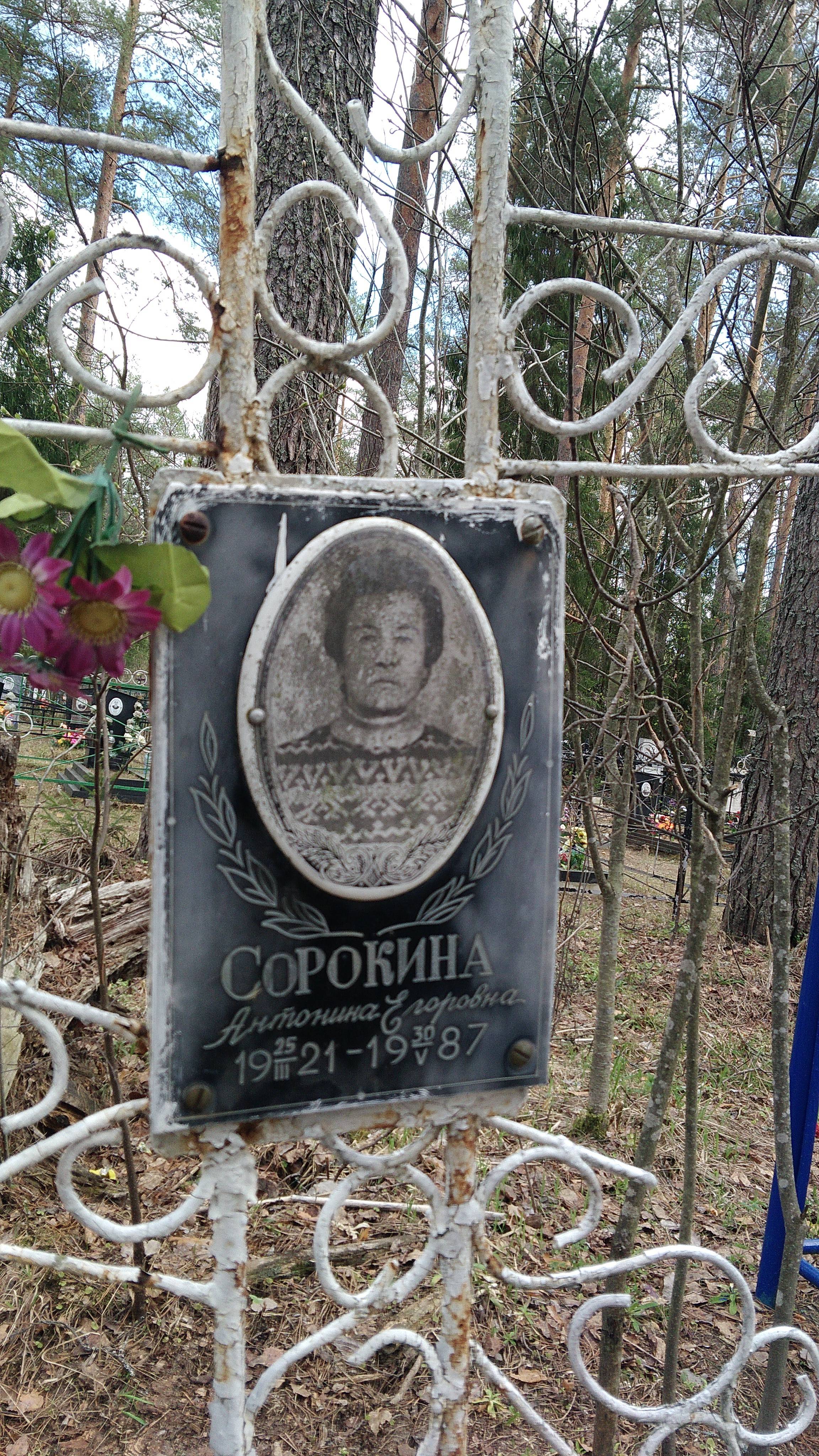 Сорокина Антонина Егоровна