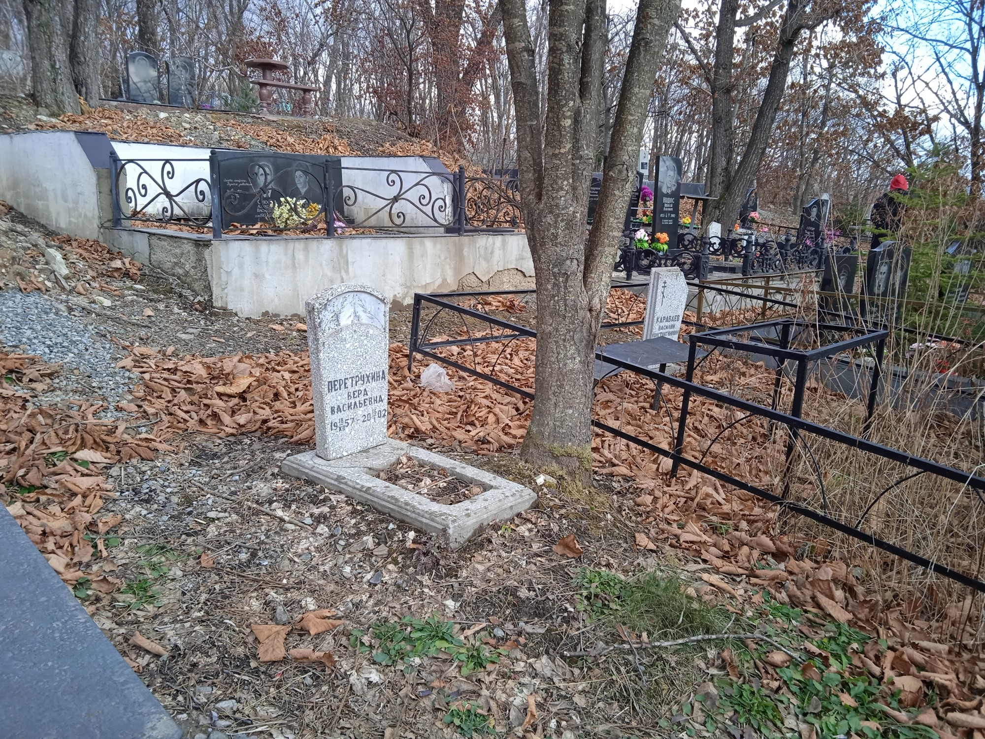 Перетрухина Вера Васильевна