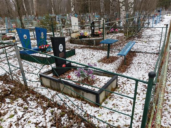 Петелин Александр Станиславович
