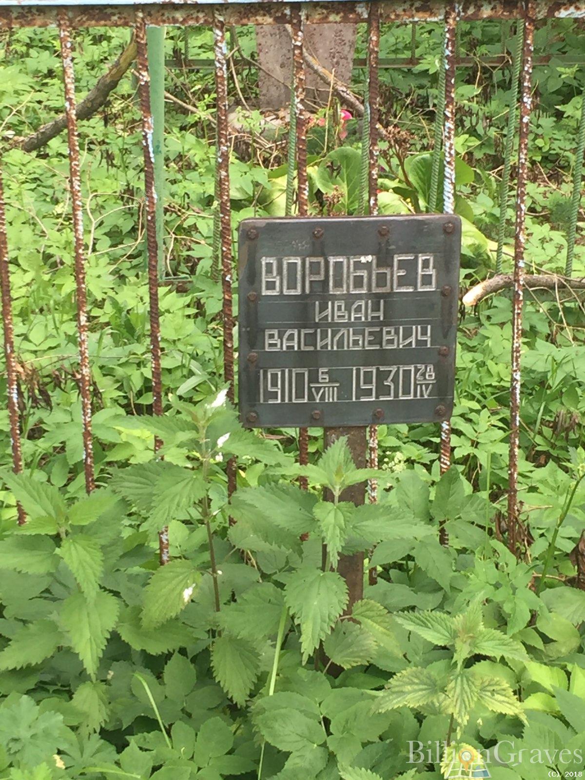 воробьева екатерина григорьевна