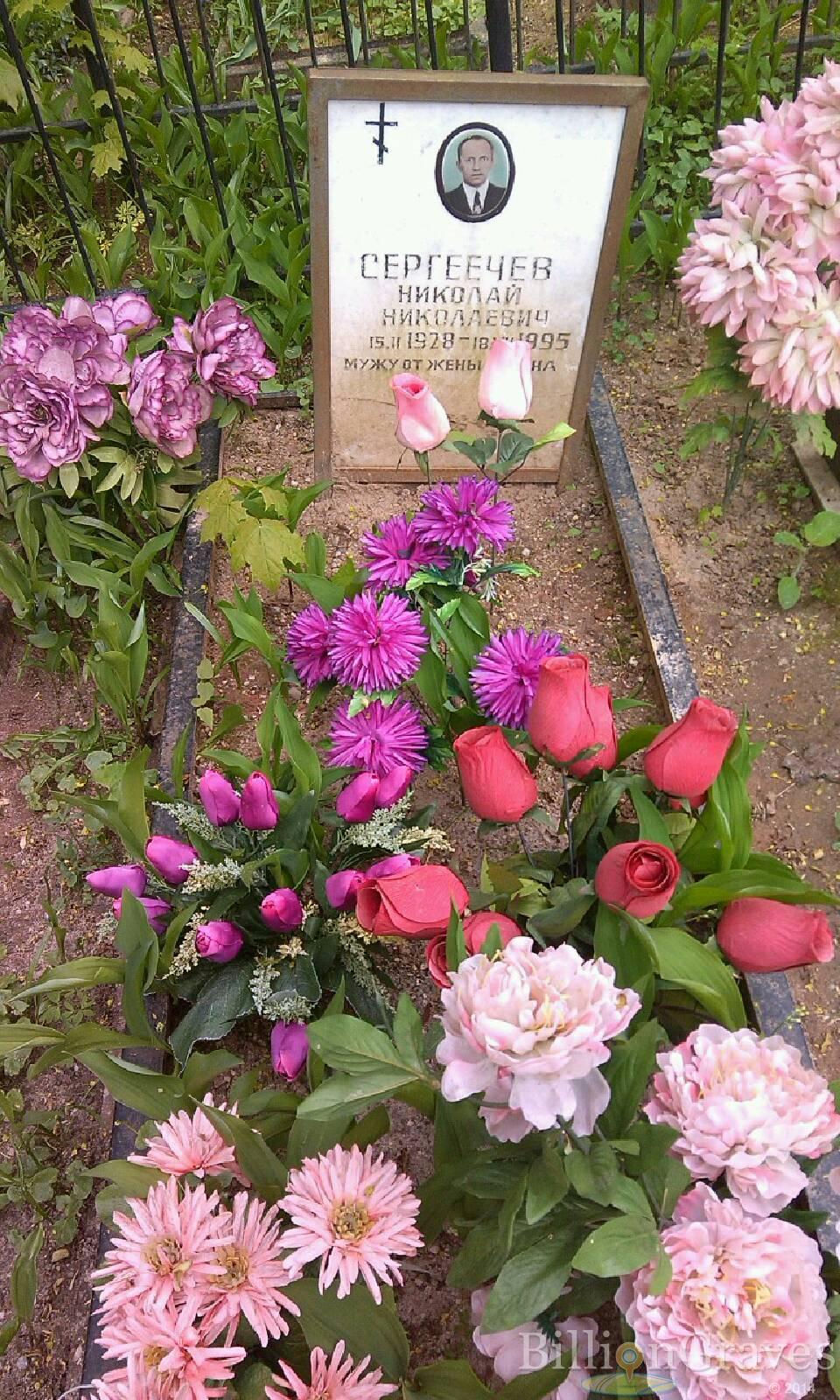Сергеечева Ольга Владимировна
