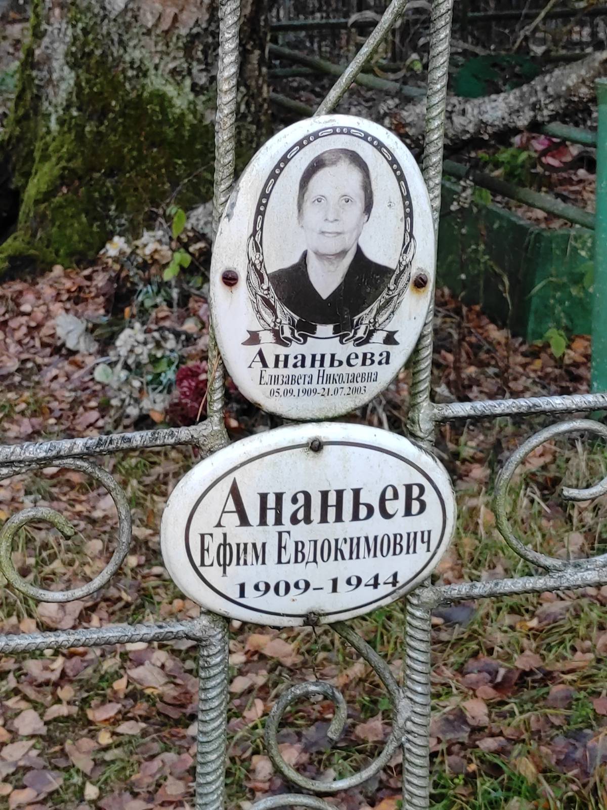 Ананьева Елизавета Николаевна