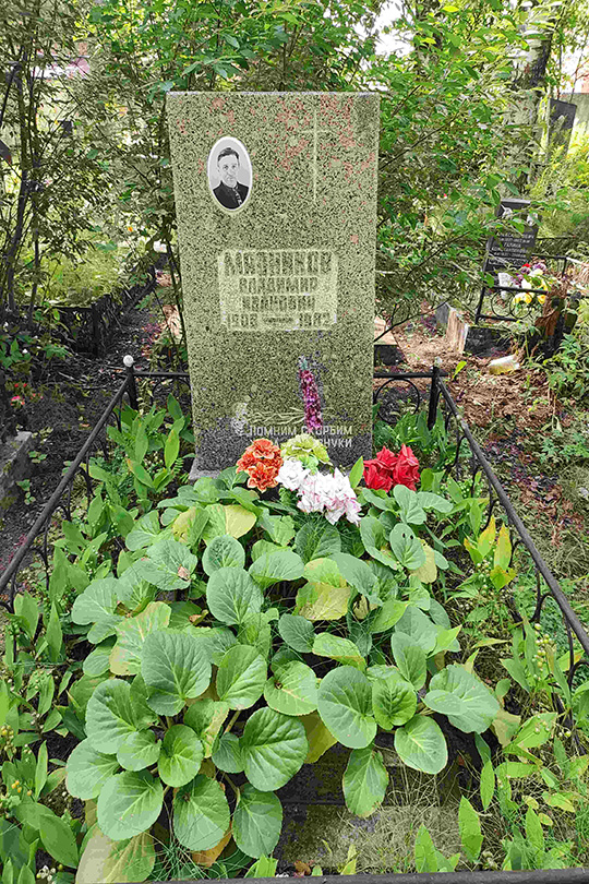 Мясников Владимир Иванович